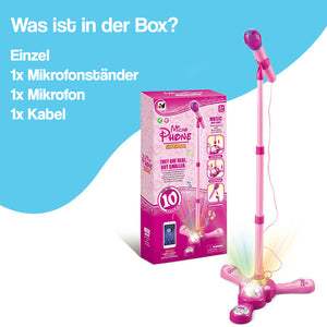 Komplettes Karaoke-Mikrofon-Set mit LED-Ständer